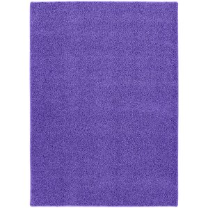 Kavka Ellis Green/Purple Indoor/Outdoor Area Rug 